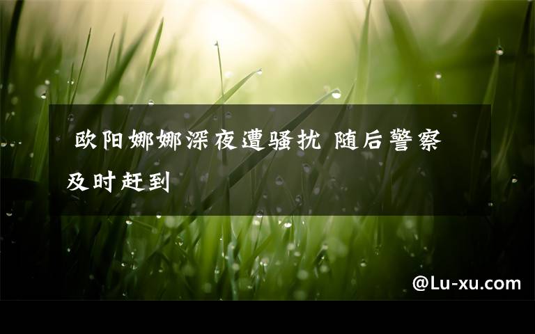 欧阳娜娜深夜遭骚扰 随后警察及时赶到