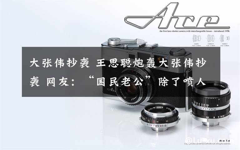 大张伟抄袭 王思聪炮轰大张伟抄袭 网友:“国民老公”除了喷人还会做啥