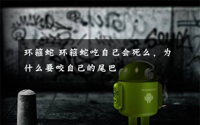 环箍蛇 环箍蛇吃自己会死么,为什么要咬自己的尾巴