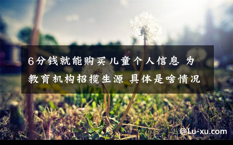 6分钱就能购买儿童个人信息 为教育机构招揽生源 具体是啥情况?