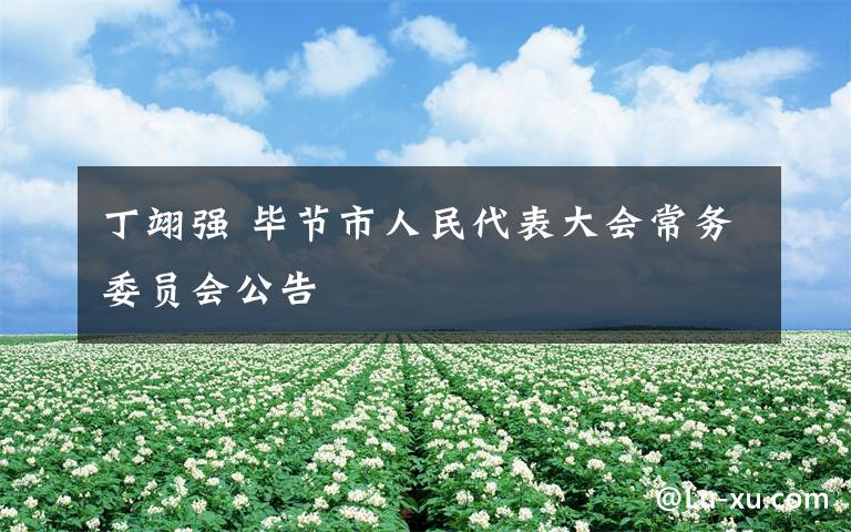 丁翊强 毕节市人民代表大会常务委员会公告
