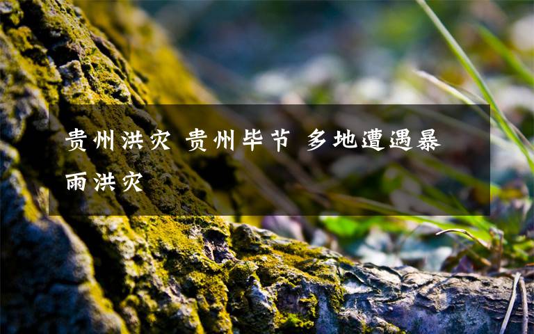 贵州洪灾 贵州毕节 多地遭遇暴雨洪灾