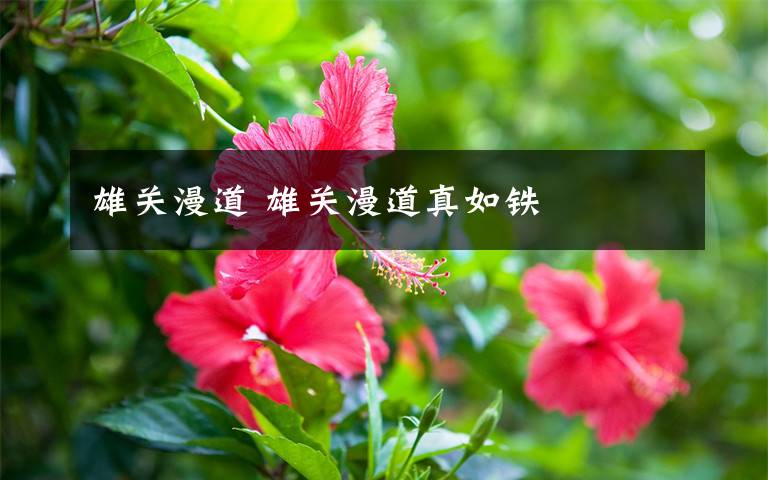 雄关漫道 雄关漫道真如铁