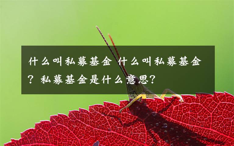 什么叫私募基金 什么叫私募基金？私募基金是什么意思？