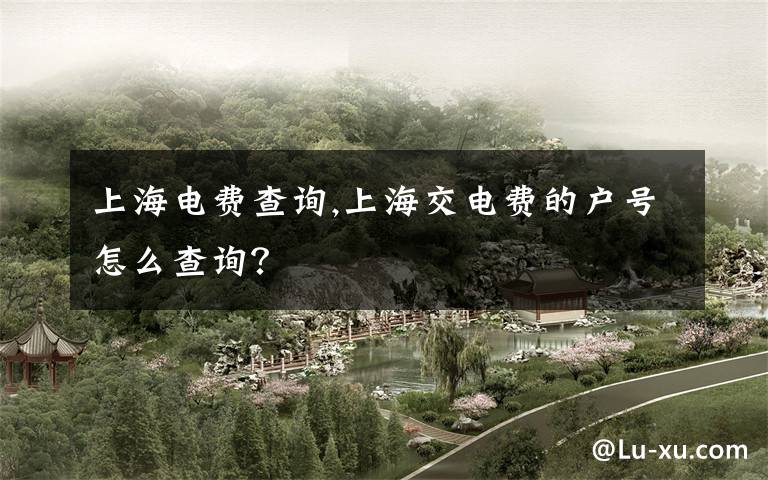 上海电费查询,上海交电费的户号怎么查询?