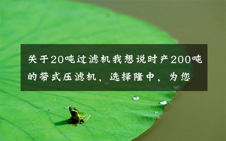 关于20吨过滤机我想说时产200吨的带式压滤机,选择隆中,为您创造更多效益