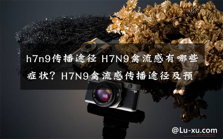 h7n9传播途径 H7N9禽流感有哪些症状?H7N9禽流感传播途径及预防措施