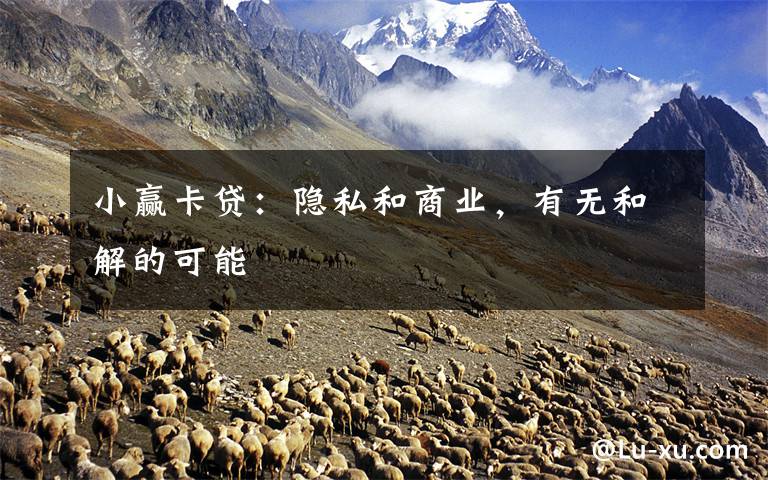 小赢卡贷:隐私和商业,有无和解的可能
