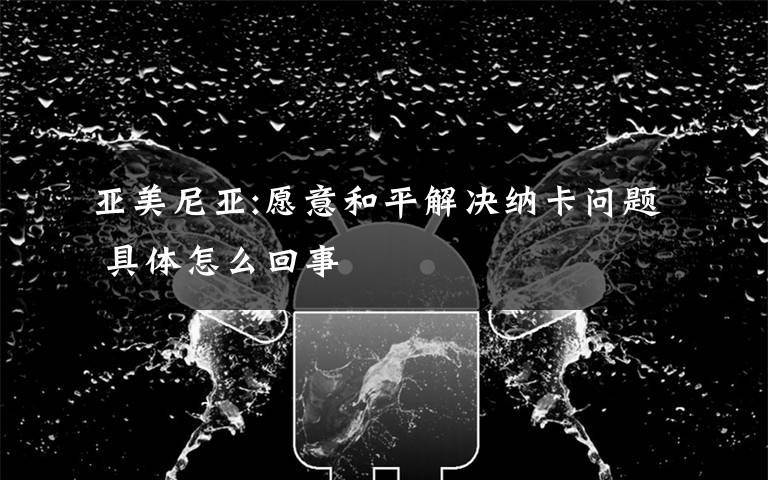 亚美尼亚:愿意和平解决纳卡问题 具体怎么回事