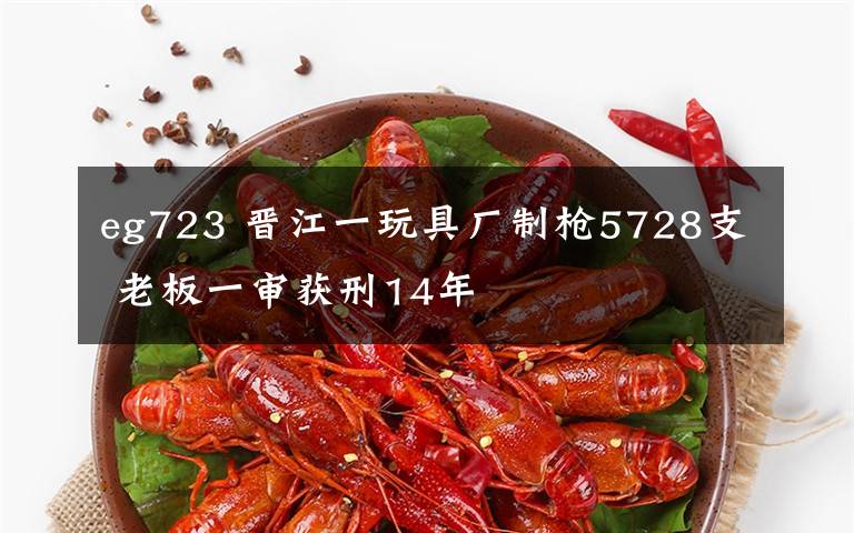 eg723 晋江一玩具厂制枪5728支 老板一审获刑14年