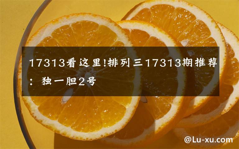 17313看这里!排列三17313期推荐:独一胆2号
