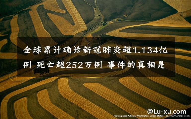 全球累计确诊新冠肺炎超1.134亿例 死亡超252万例 事件的真相是什么?