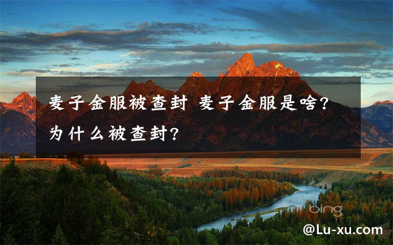 麦子金服被查封 麦子金服是啥?为什么被查封?