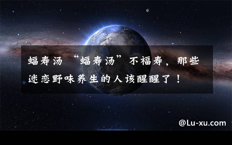 蝠寿汤 “蝠寿汤”不福寿,那些迷恋野味养生的人该醒醒了!
