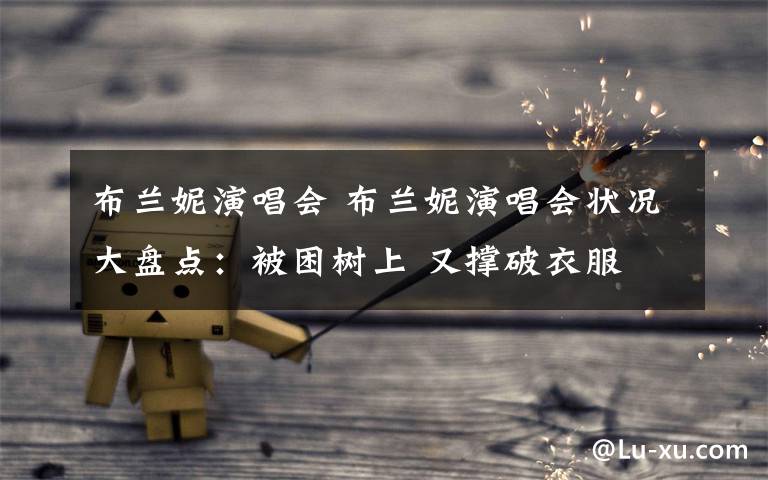 布兰妮演唱会 布兰妮演唱会状况大盘点:被困树上 又撑破衣服