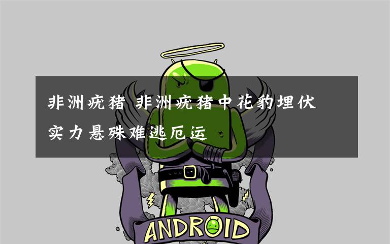 非洲疣猪 非洲疣猪中花豹埋伏 实力悬殊难逃厄运