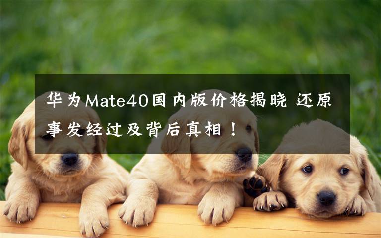 华为Mate40国内版价格揭晓 还原事发经过及背后真相!