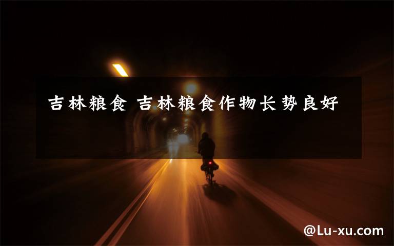 吉林粮食 吉林粮食作物长势良好