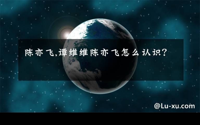 陈亦飞,谭维维陈亦飞怎么认识?