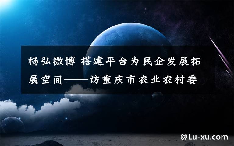 杨弘微博 搭建平台为民企发展拓展空间——访重庆市农业农村委副主任杨宏