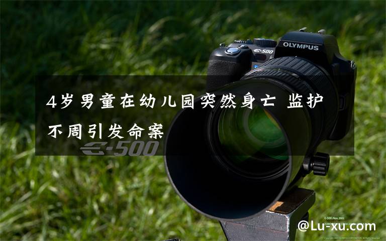 4岁男童在幼儿园突然身亡 监护不周引发命案