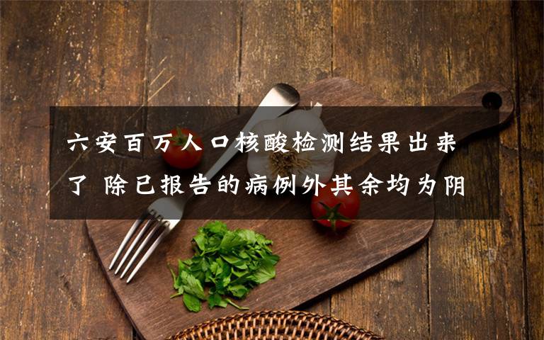 六安百万人口核酸检测结果出来了 除已报告的病例外其余均为阴性 还原事发经过及背后原因！