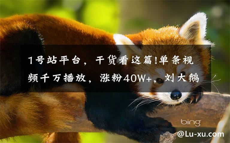 1号站平台,干货看这篇!单条视频千万播放,涨粉40W+,刘大鹅成为下一个封神的“朱一旦”?