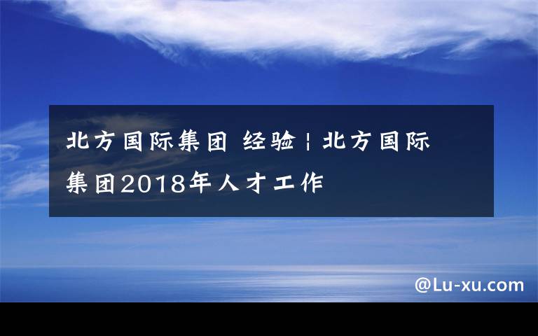 北方国际集团 经验 | 北方国际集团2018年人才工作