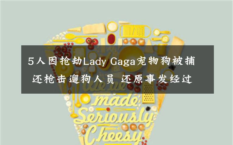 5人因抢劫Lady Gaga宠物狗被捕 还枪击遛狗人员 还原事发经过及背后原因！