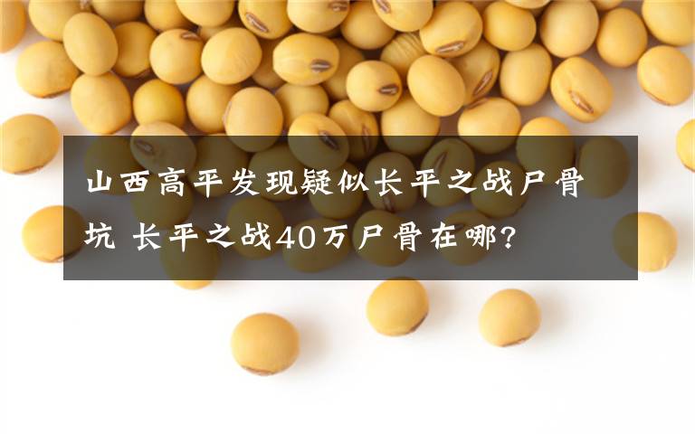 山西高平发现疑似长平之战尸骨坑 长平之战40万尸骨在哪?