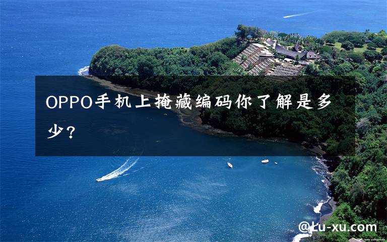 OPPO手机上掩藏编码你了解是多少?