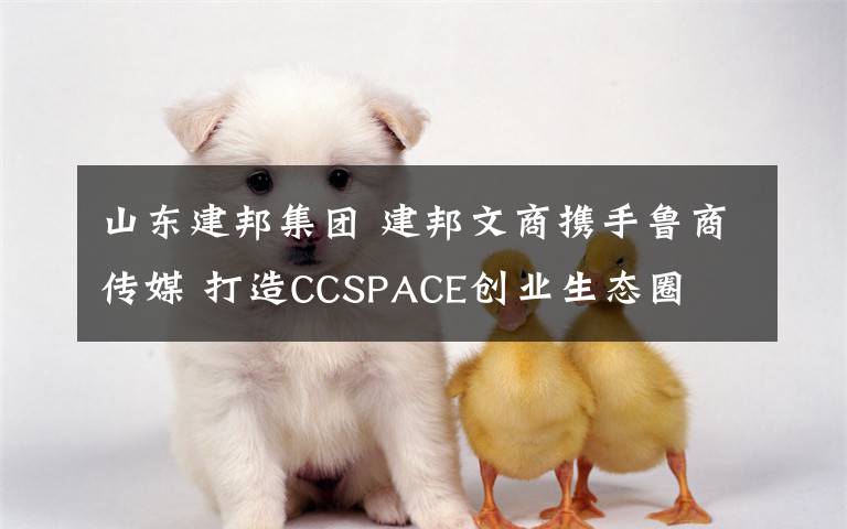 山东建邦集团 建邦文商携手鲁商传媒 打造CCSPACE创业生态圈