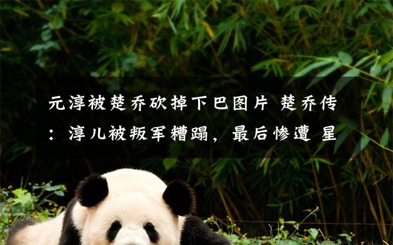 元淳被楚乔砍掉下巴图片 楚乔传:淳儿被叛军糟蹋,最后惨遭 星儿 砍掉下巴