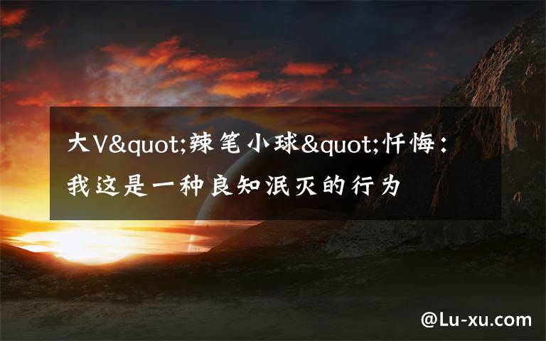 大V"辣笔小球"忏悔:我这是一种良知泯灭的行为