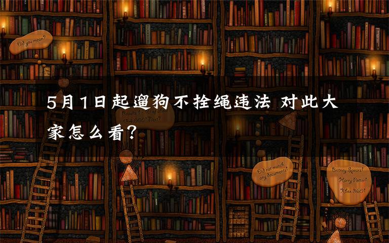 5月1日起遛狗不拴绳违法 对此大家怎么看?