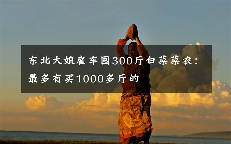 东北大娘雇车囤300斤白菜菜农:最多有买1000多斤的