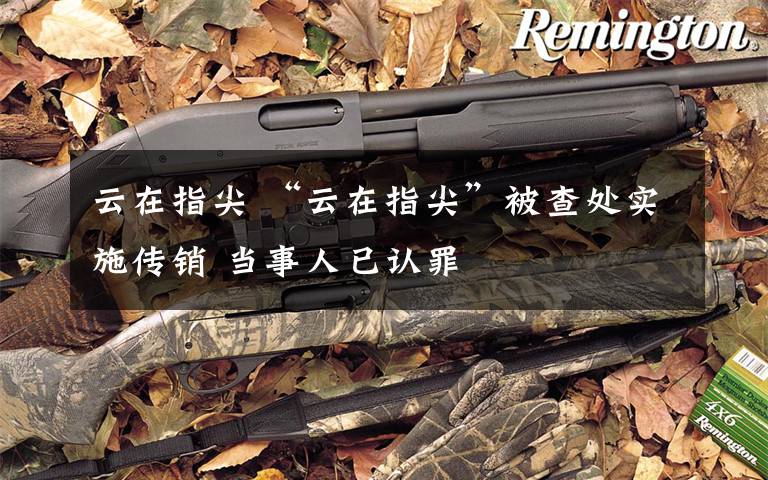 云在指尖 “云在指尖”被查处实施传销 当事人已认罪