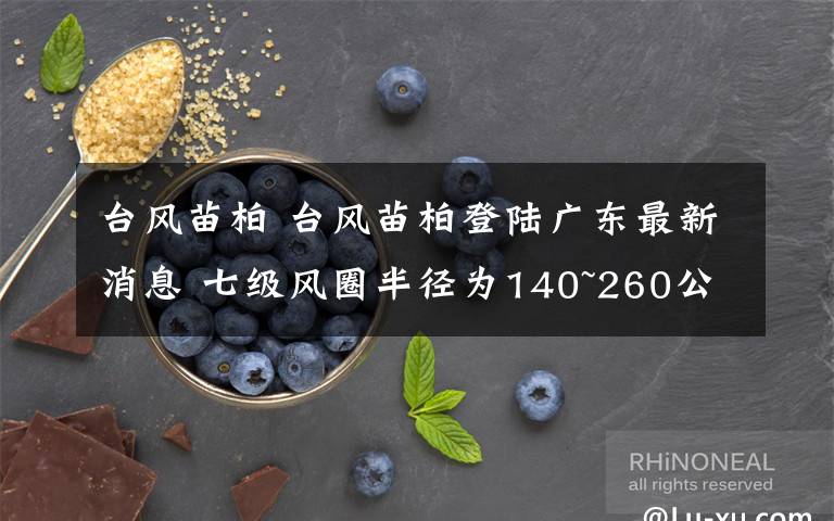 台风苗柏 台风苗柏登陆广东最新消息 七级风圈半径为140~260公里