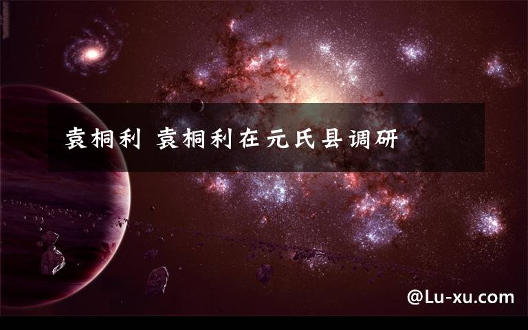 袁桐利 袁桐利在元氏县调研