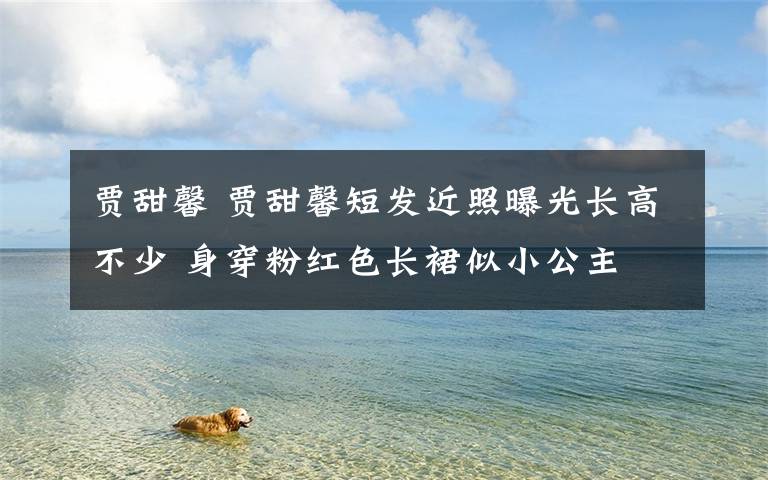 贾甜馨 贾甜馨短发近照曝光长高不少 身穿粉红色长裙似小公主