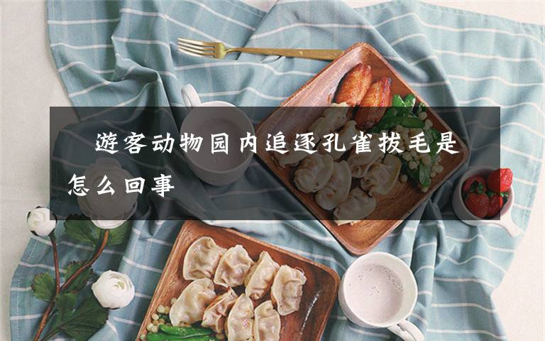 游客动物园内追逐孔雀拔毛是怎么回事