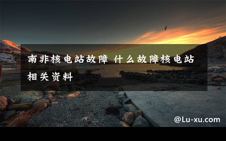 南非核电站故障 什么故障核电站相关资料