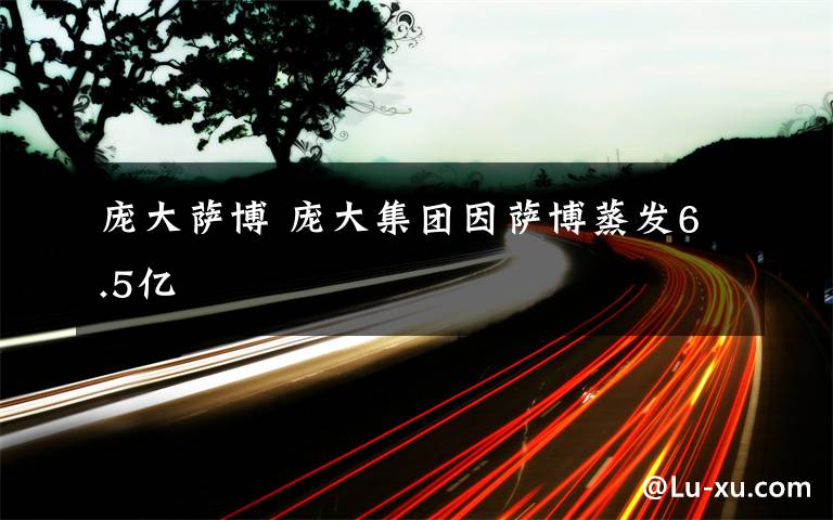 庞大萨博 庞大集团因萨博蒸发6.5亿