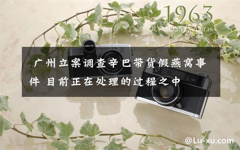 广州立案调查辛巴带货假燕窝事件 目前正在处理的过程之中