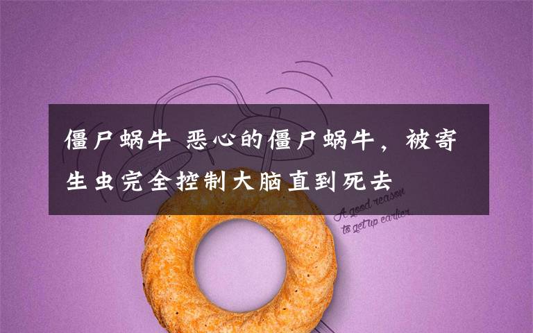 僵尸蜗牛 恶心的僵尸蜗牛,被寄生虫完全控制大脑直到死去