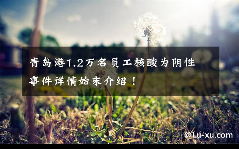 青岛港1.2万名员工核酸为阴性 事件详情始末介绍!