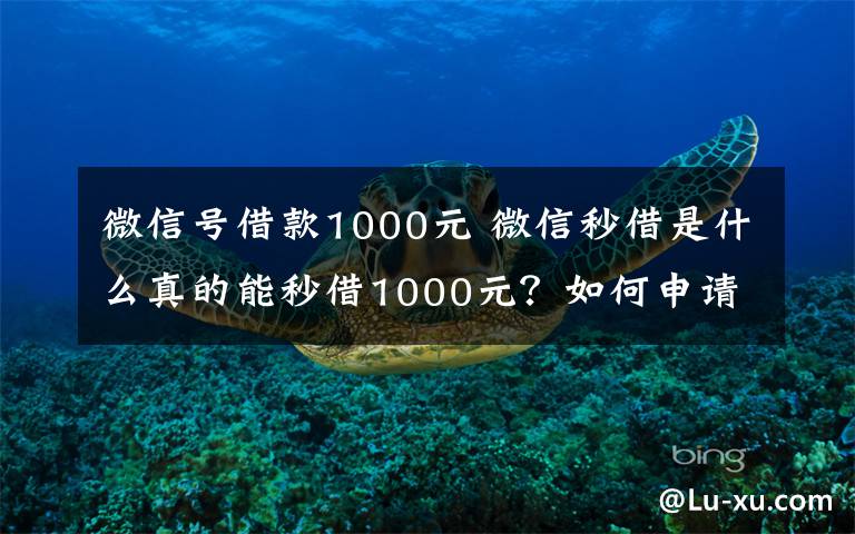 微信号借款1000元 微信秒借是什么真的能秒借1000元？如何申请及手续费率多少？