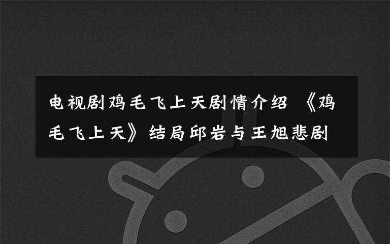 电视剧鸡毛飞上天剧情介绍 《鸡毛飞上天》结局邱岩与王旭悲剧收场 大结局剧透及分集剧情介绍