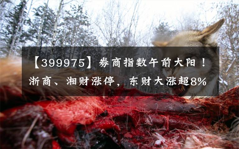 【399975】券商指数午前大阳!浙商、湘财涨停,东财大涨超8%,券商ETF(512000)半日成交15.7亿元