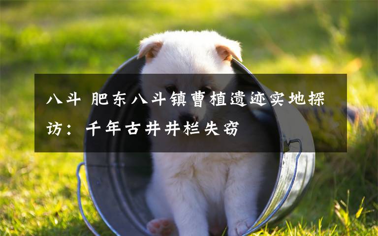 八斗 肥东八斗镇曹植遗迹实地探访:千年古井井栏失窃